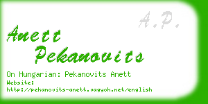 anett pekanovits business card